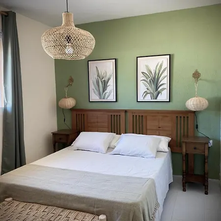 Aloe كوراليهو