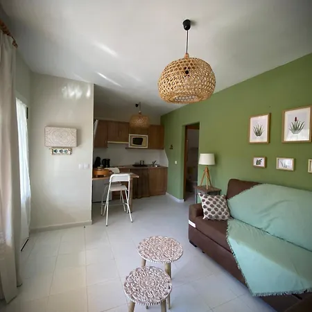 Aloe كوراليهو