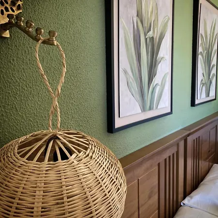 Aloe * كوراليهو