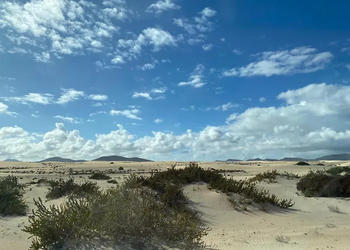 Lägenhet Aloe Corralejo