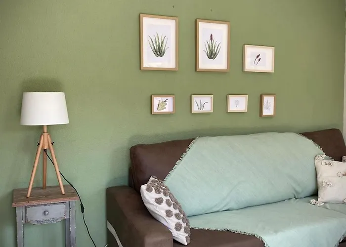 Aloe Apartment