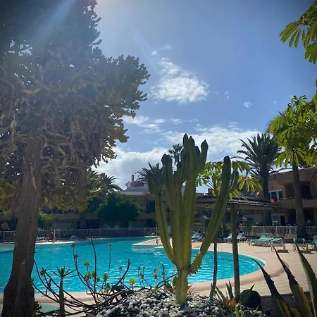 Apartament Aloe *