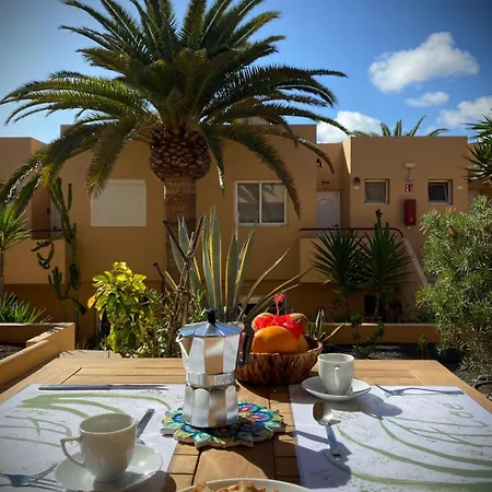 Aloe * Corralejo