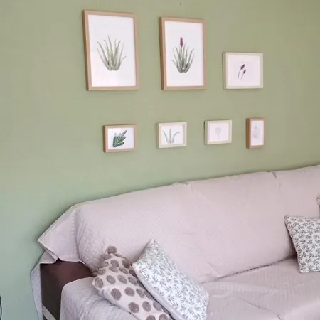 Aloe Apartament
